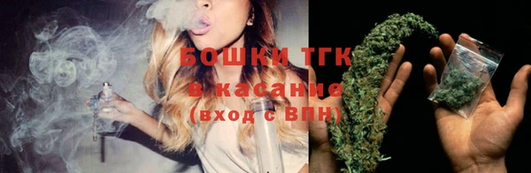 спайс Карпинск