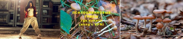 спайс Карпинск